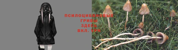 мдма Белокуриха