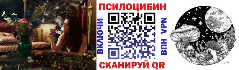 Галлюциногенные грибы Psilocybine cubensis  блэк спрут маркетплейс  Облучье  закладка 
